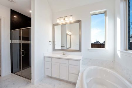 New construction Single-Family house 2036 Grey Birch Pl, Aledo, TX 76008 plan 217 - image 13