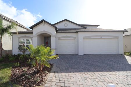 New construction Single-Family house 4774 Beachrose Way, Lakeland, FL 33811 Barcello Bonus- photo 101 101