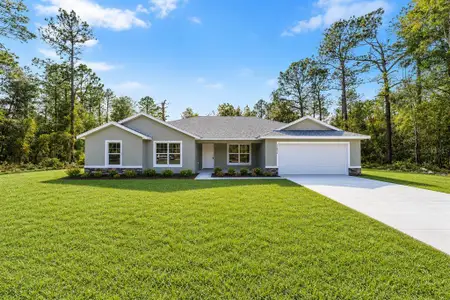 New construction Single-Family house 8256 Sw 134Th Ave, Dunnellon, FL 34432 - image
