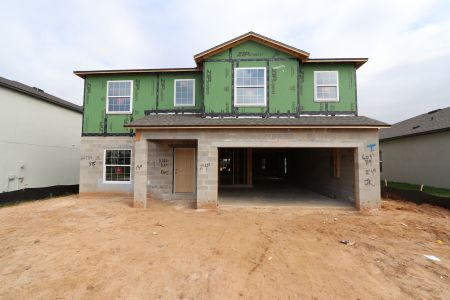 New construction Single-Family house 12294 Hilltop Farms Dr, Dade City, FL 33525 Malibu- photo 53 53