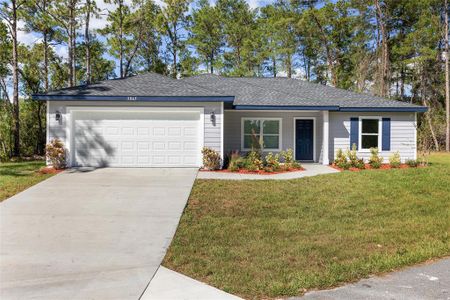 New construction Single-Family house 3101 Nw Buena Vista Rd, Dunnellon, FL 34431 - image