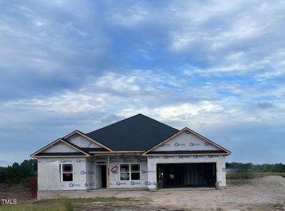 New construction Single-Family house 4182 Coolwater Dr, Bailey, NC 27807 2100- photo 21 21