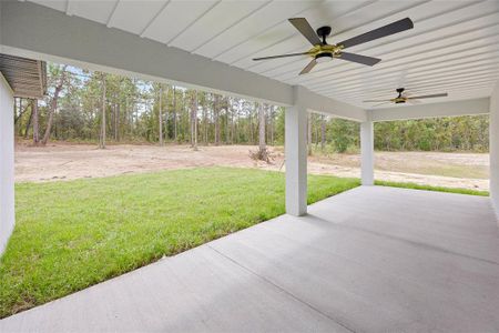 New construction Single-Family house 12232 Sw 91St Ln, Dunnellon, FL 34432 - image