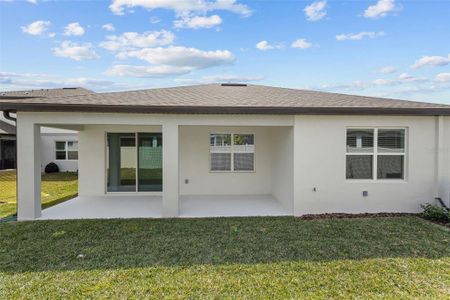 New construction Single-Family house 20723 Balsam Hill Rd, Land O' Lakes, FL 34638 Medina- photo 7 7