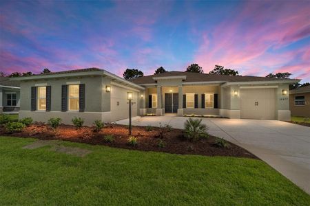 New construction Single-Family house 10277 Sw 105Th Ct, Ocala, FL 34481 - image