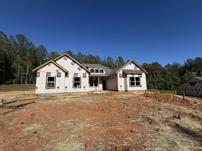New construction Single-Family house Palmetto, GA 30268 plan Blanton - image