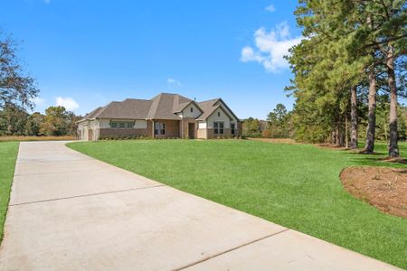 New construction Single-Family house 152 Homestead Hill Rd, New Waverly, TX 77358 - image