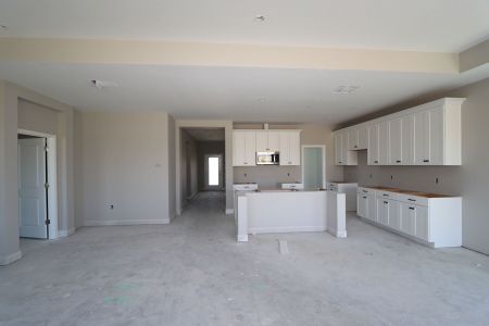 New construction Single-Family house 31205 Denham Ridge Ln, Wesley Chapel, FL 33545 Santa Monica- photo 82 82