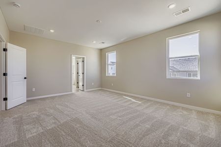 New construction Single-Family house 13755 Daffodil Wy, Parker, CO 80108 plan Conifer - image 19