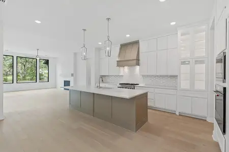 New construction Single-Family house 366 Crosswater Ln, Dripping Springs, TX 78620 plan Lynmar II - image 10