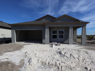 New construction Single-Family house 5592 Freesia Dr, Lakeland, FL 33811 plan Picasso - image