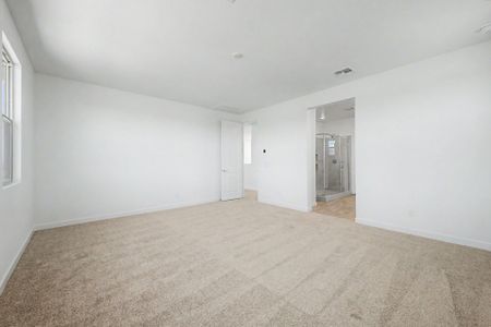 New construction Single-Family house 432 W Flax Dr, San Tan Valley, AZ 85140 plan Mahogany - image 13