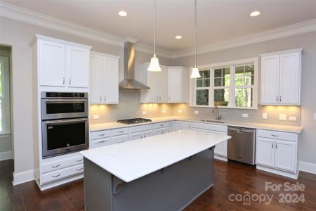 New construction Single-Family house 332 Queens Cove Road, Mooresville, NC 28117 - photo 10 10