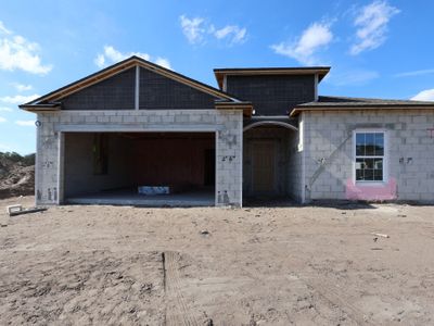 New construction Single-Family house 2925 Berry Coppice Pl, Wimauma, FL 33598 plan Maui - image