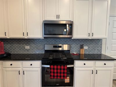 New construction Single-Family house 4805 Mozzafiato Ln, Round Rock, TX 78665 - image 15