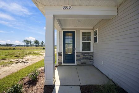 New construction Single-Family house 3010 Pine Warbler Pl Nw, Calabash, NC 28467 plan The Orchid - image