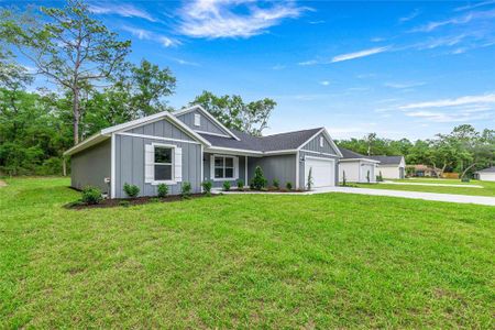 New construction Single-Family house 4056 Sw 156Th Ct, Ocala, FL 34481 - image