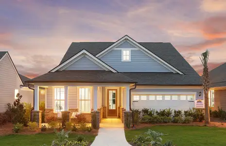 New construction Single-Family house 1139 Grinnell St, North Myrtle Beach, SC 29582 plan Palmary - image