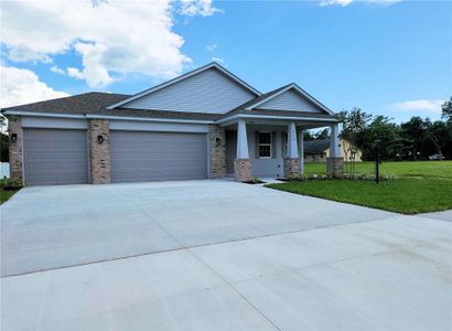 New construction Single-Family house 413 Shannon Estates Ct, Plant City, FL 33563 - image