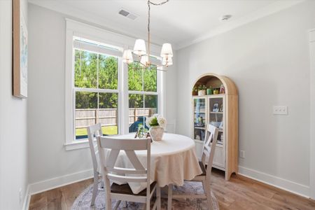 New construction Single-Family house 381 Wappoo Trace Ln, Summerville, SC 29486 - image 7