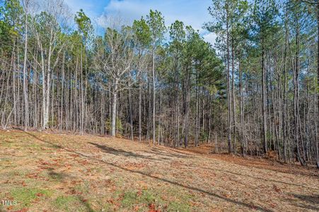 New construction Single-Family house 325 Natchez Trce, Fuquay Varina, NC 27526 null- photo 3 3