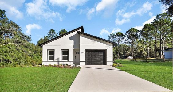 New construction Single-Family house 13527 Sw 100Th Ln, Dunnellon, FL 34432 - image