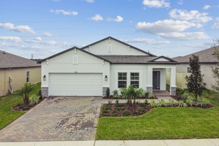 New construction Single-Family house 38426 Tobiano Lp, Dade City, FL 33525 plan Picasso - image