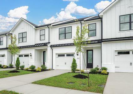 Crystal Creek by LGI Homes in Spring Hill - image