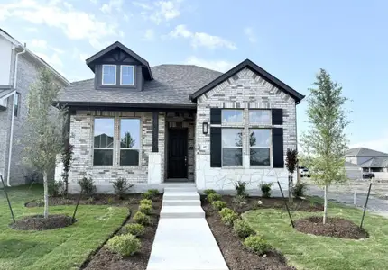 New construction Single-Family house 117 Royal Fern Rd, Hutto, TX 78634 plan Dickens I - image