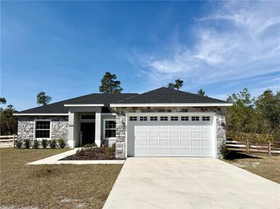 New construction Single-Family house 41239 Balsam St, Eustis, FL 32736 - image