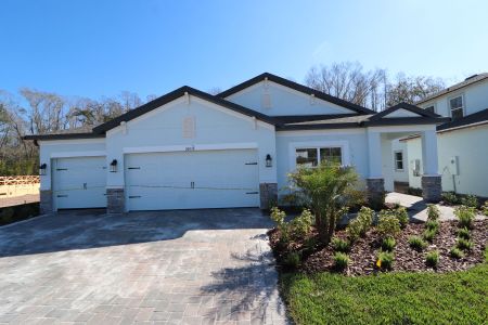 New construction Single-Family house 20339 Oriana Loop, Land O' Lakes, FL 34638 Newport II- photo 127 127