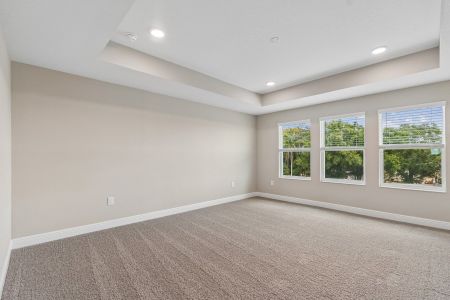 New construction Single-Family house 38462 Tobiano Lp, Dade City, FL 33525 plan Casanova - image 18