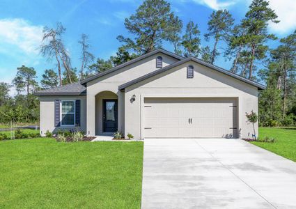 New construction Single-Family house 13861 Sw 27Th Ct Rd, Ocala, FL 34473 null- photo 0 0