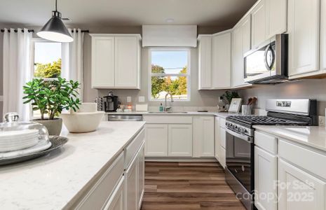 New construction Single-Family house 2032 Waxhaw Crossing Dr, Unit 253, Waxhaw, NC 28173 - image