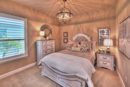 New construction Single-Family house 95211 Clubhouse Rd, Fernandina Beach, FL 32034 plan Juliette - Elite Series | 60' Wide Lots - image 10