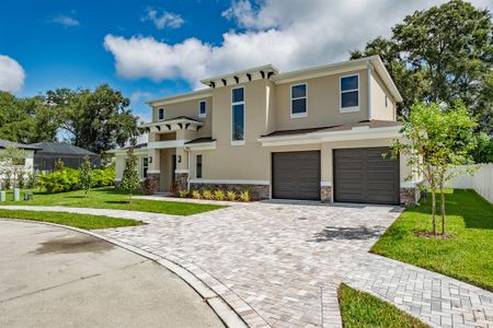 New construction Single-Family house 250 Larocca Ct, Palm Harbor, FL 34683 - image