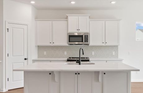 New construction Single-Family house 351 Blue Oak Dr, Moncks Corner, SC 29461 plan Avery - image