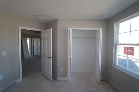 New construction Single-Family house 31236 Denham Ridge Ln, Wesley Chapel, FL 33545 Santa Monica- photo 106 106