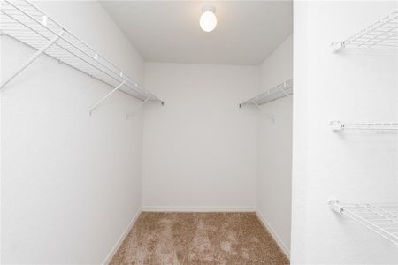 New construction Single-Family house 213 Harper Estates Cir, Lake Wales, FL 33859 - image 17