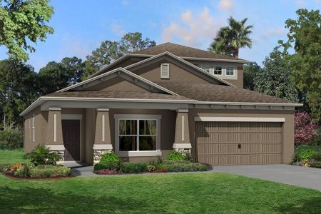 New construction Single-Family house 10805 Rolling Moss Road, Tampa, FL 33647 - photo 0