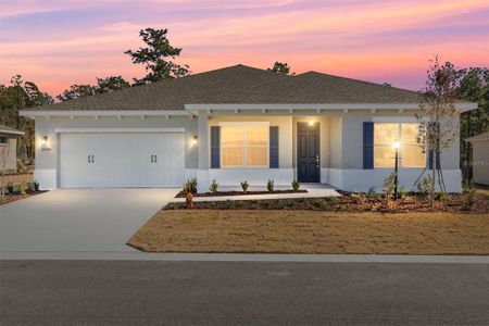 New construction Single-Family house 10044 Sw 106Th Cir, Ocala, FL 34481 - image