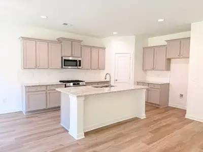 New construction Single-Family house 18 Purackal Ln, Statham, GA 30666 plan The Madison - image 9