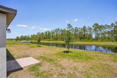 New construction Single-Family house 3210 Viceroy Ct, Poinciana, FL 34759 plan Hibiscus - image