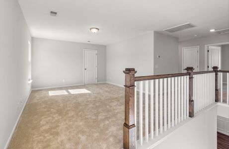 New construction Single-Family house 360 Palfrey Dr, Ridgeville, SC 29472 plan Oxford - image 12