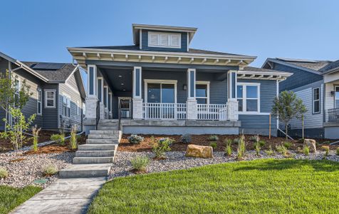 Sonders - Harmony Courtyard Collection by Thrive Home Builders in Fort Collins - photo