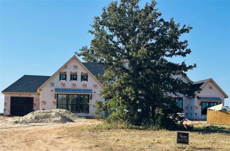 New construction Single-Family house 1008 Old Oaks Ct, Weatherford, TX 76087 - image