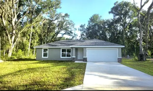 New construction Single-Family house 2952 Se 142Nd Ln, Summerfield, FL 34491 - image