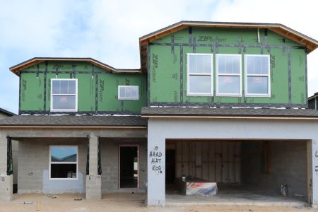 New construction Single-Family house 12146 Hilltop Farms Dr, Dade City, FL 33525 Cabo- photo 52 52