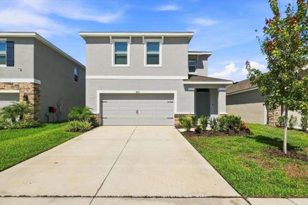 New construction Single-Family house 7025 Broad River Ave, Land O' Lakes, FL 34638 - image
