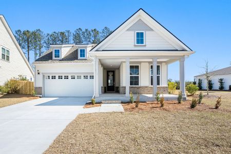 New construction Single-Family house 212 Loblolly Ln, Richmond Hill, GA 31324 plan Palmary - image